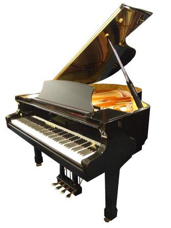 Wendl__Lung_4_Harmonich_Pedal
