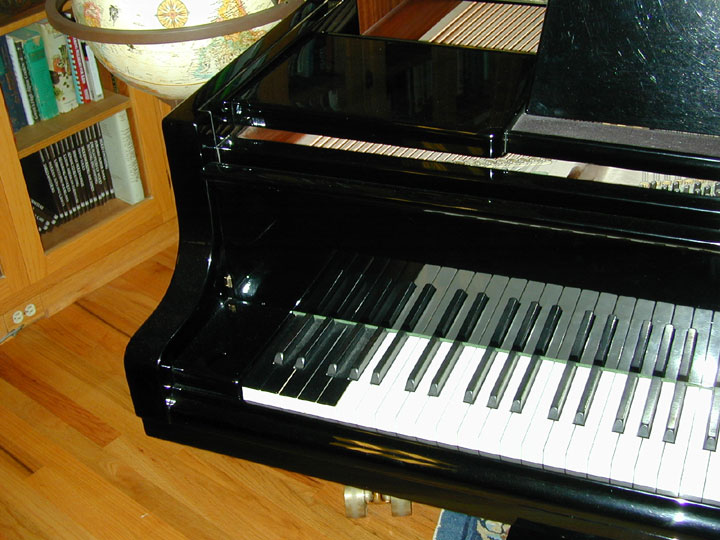 Bosendorfer-7-23-02-2, steinway pianos, yamaha upright, yamaha grand, steinway grand