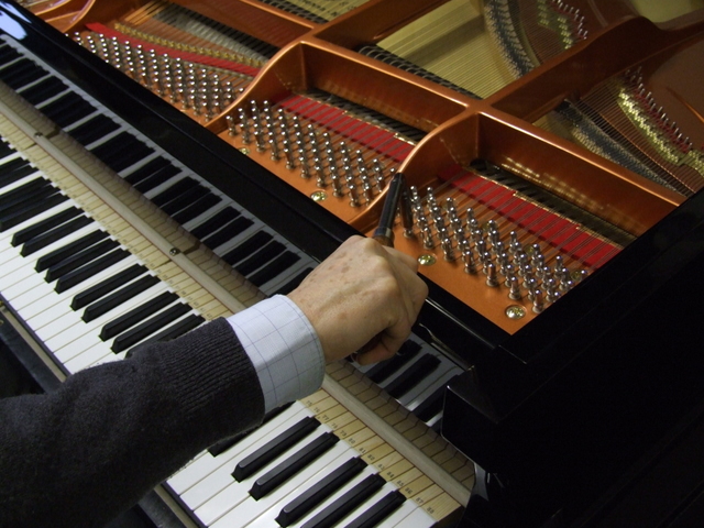 yamaha gb1 grand pianos 161 wendl lung, steinway upright and grand