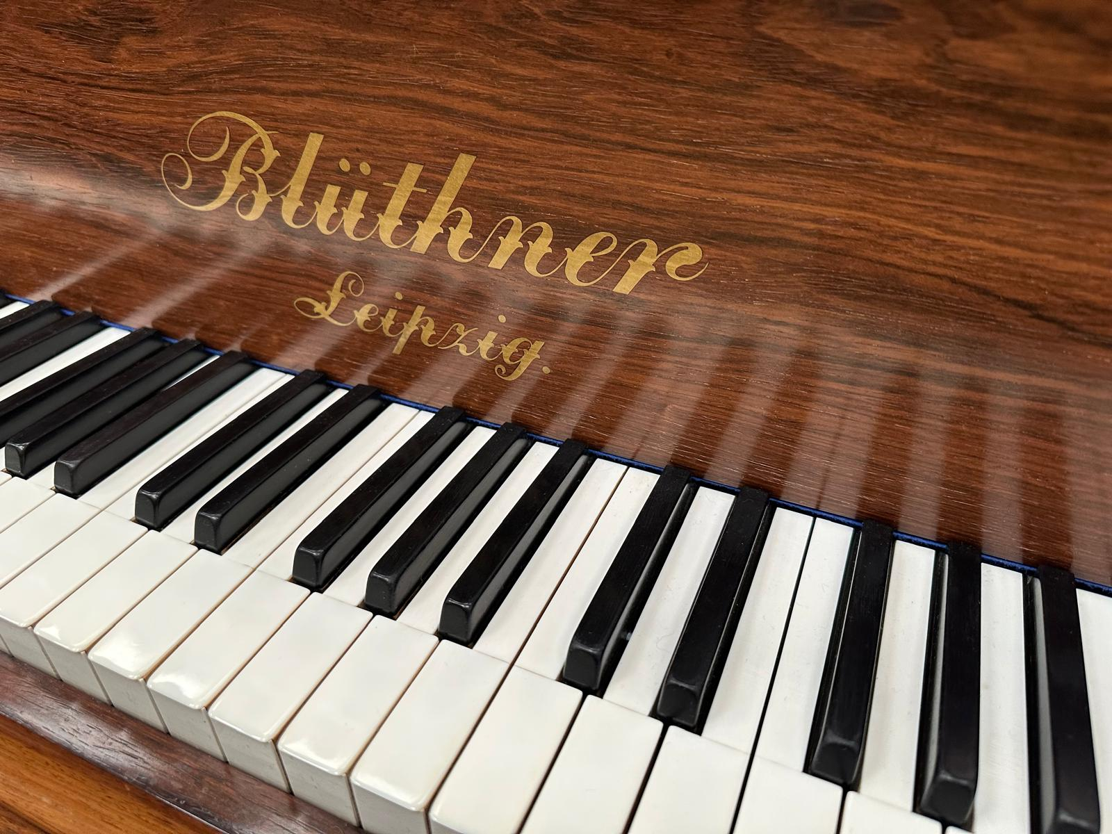 Bluthner VIII