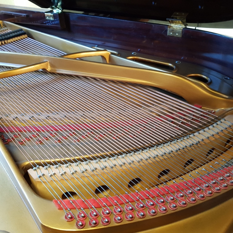 Bosendorfer 170