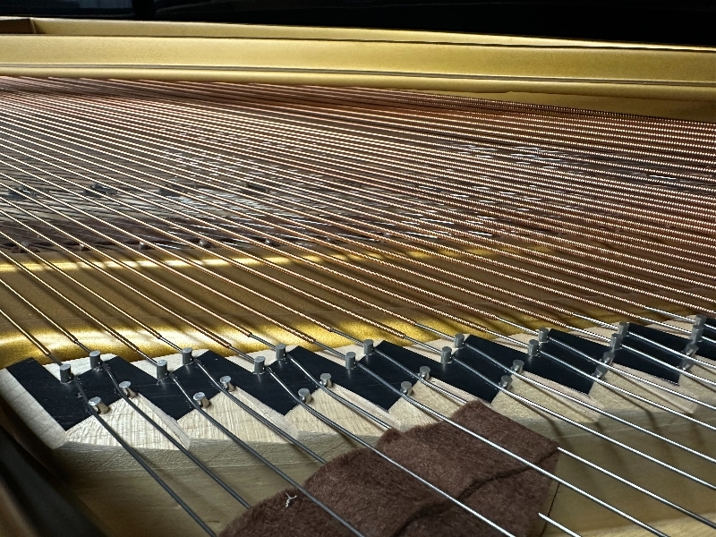 Grotrian Steinweg model 220