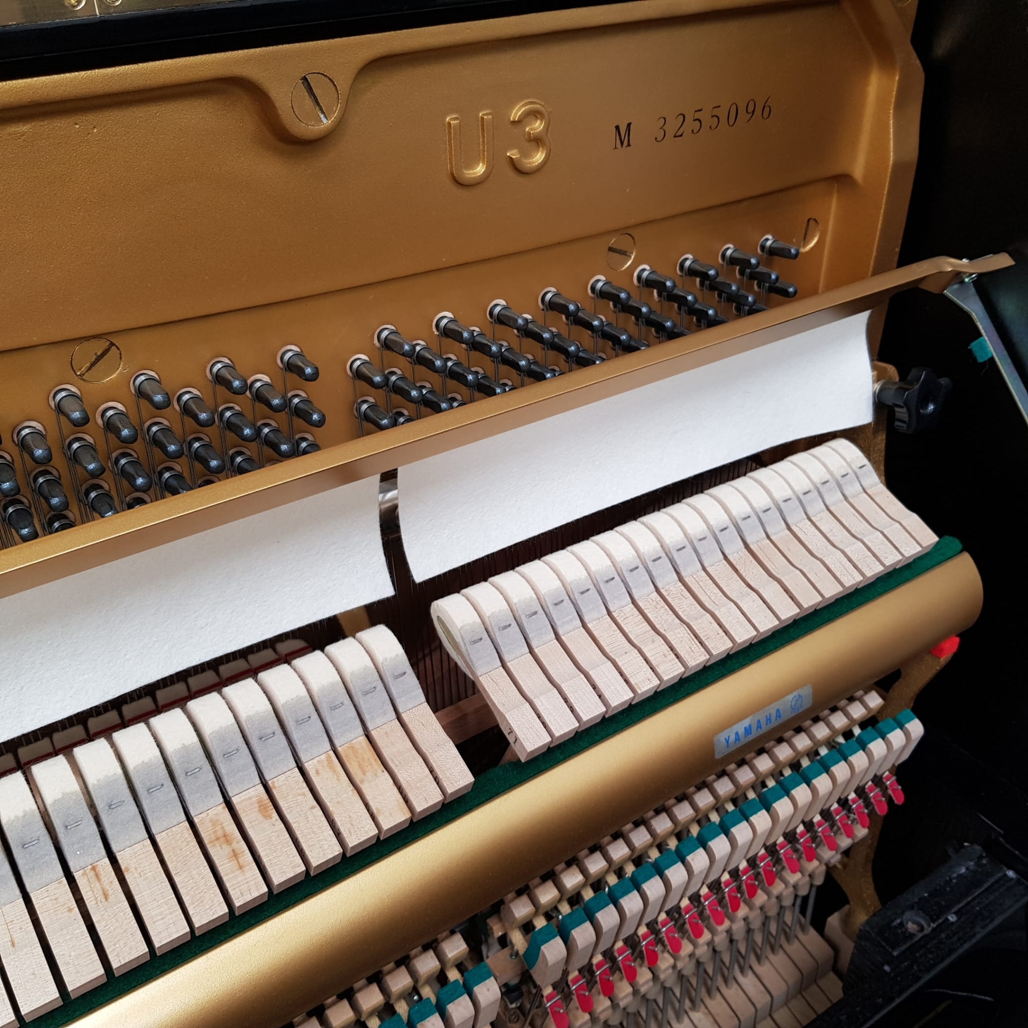 Yamaha U3M