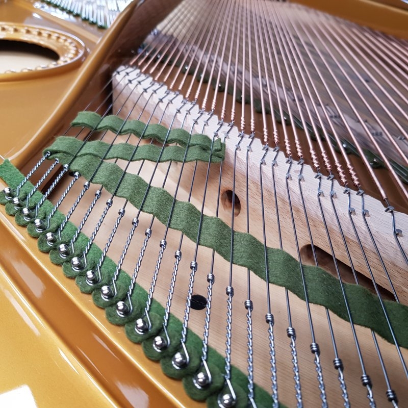 Bechstein B