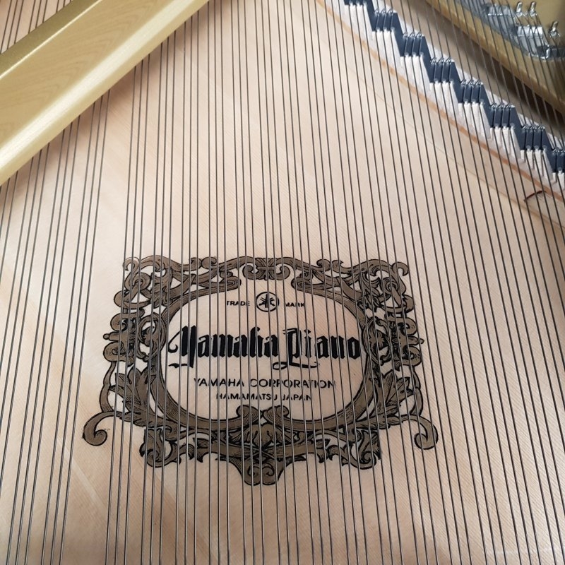 Yamaha CF concert