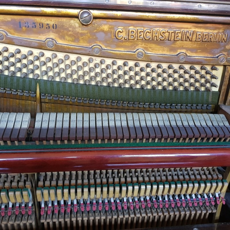 Bechstein 8