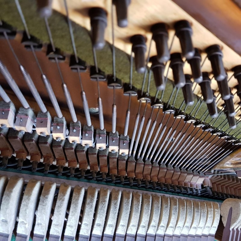 Bechstein 8
