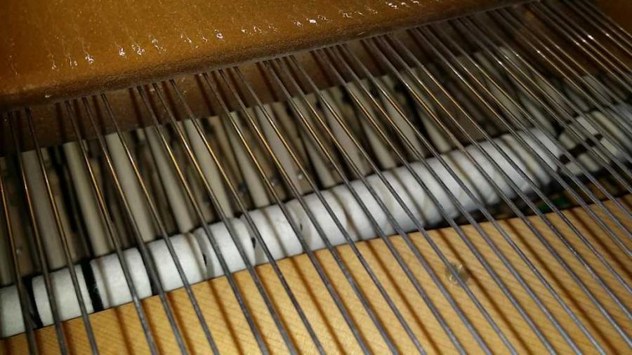 Grotrian Steinweg 275 grand Piano in black – Gallery image – Roberts Pianos Oxford