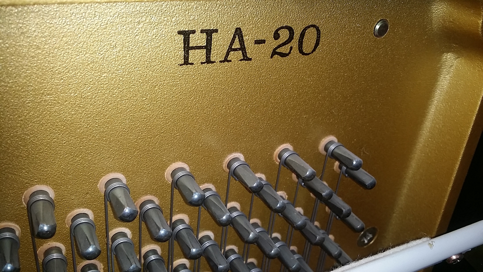 Kawai HA20