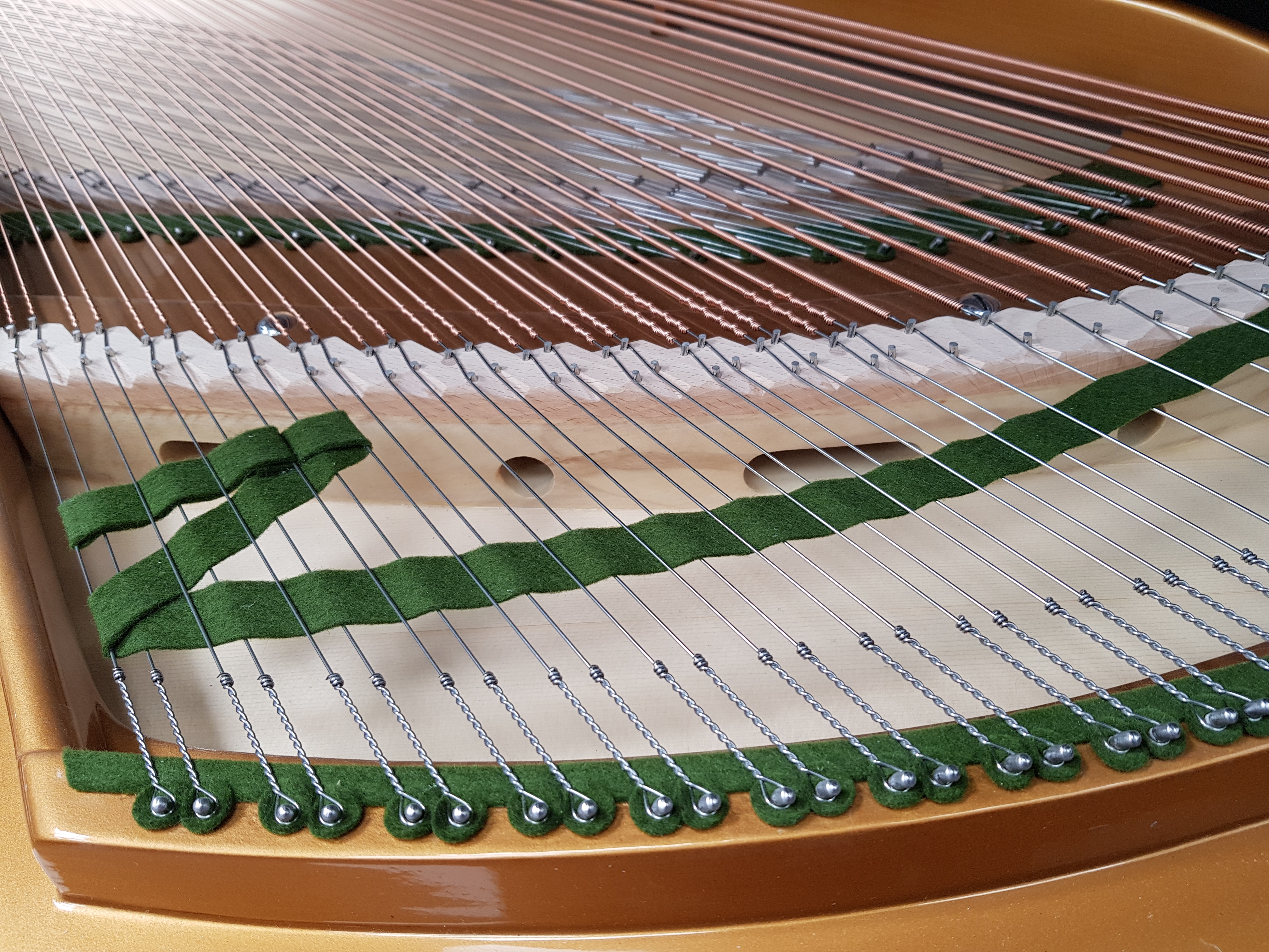Bechstein V (5)