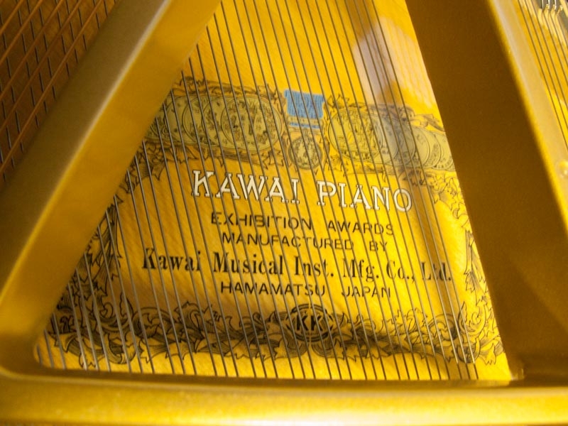 Kawai GM-10