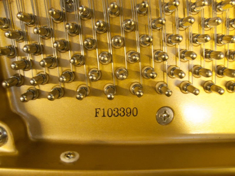 Kawai GM-10
