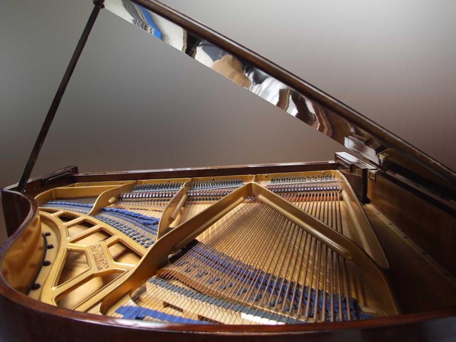 Bluthner style IVa Aliquot grand Piano in mahogany – Gallery image – Roberts Pianos Oxford