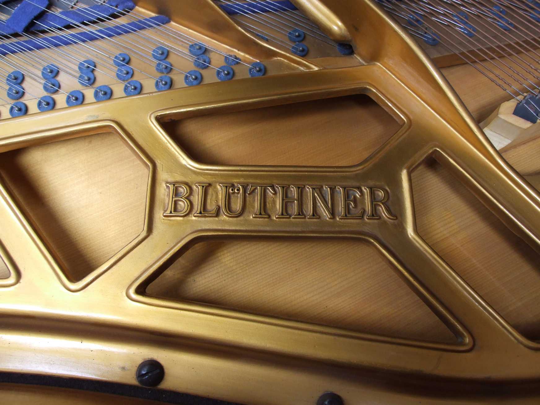 Bluthner style IVa Aliquot