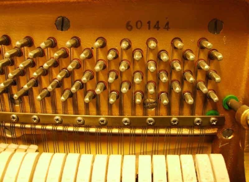Knight K20