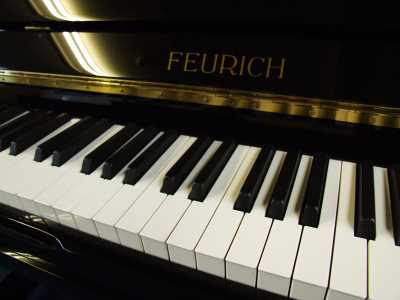 Feurich 133