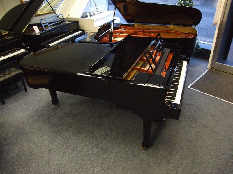Feurich 218