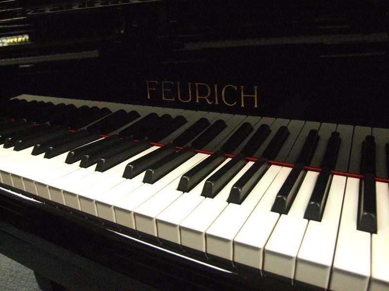 Feurich 218