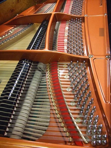 Feurich 218