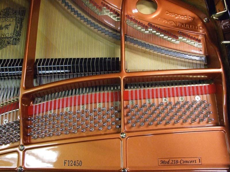 Feurich 218