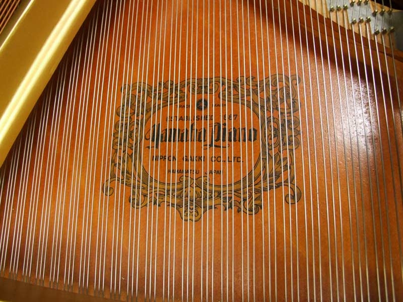 Yamaha G3