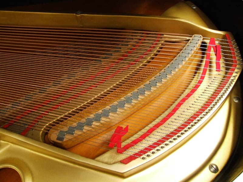 Yamaha G3