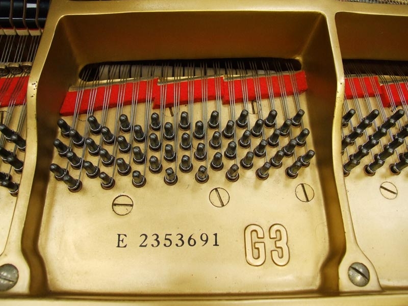 Yamaha G3