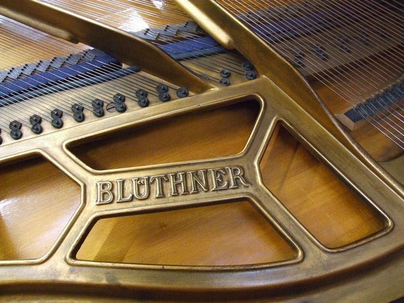 Bluthner IV