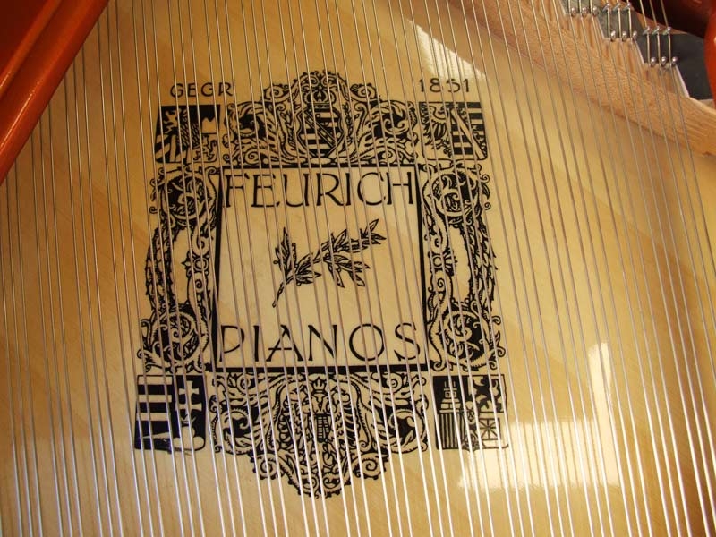 Feurich 161
