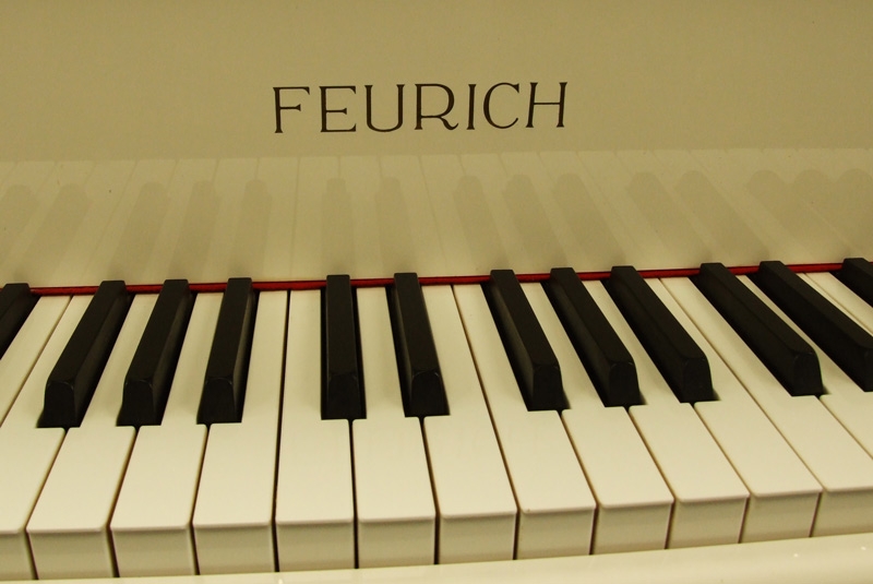 Feurich 161
