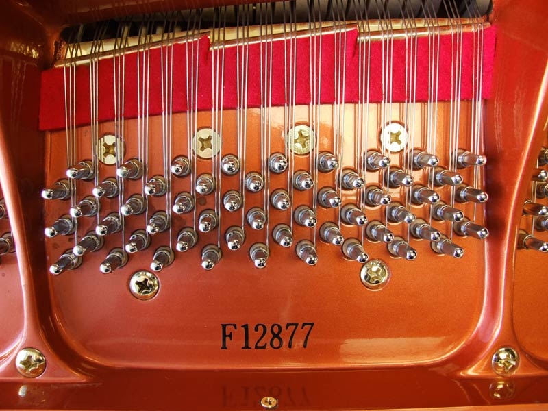 Feurich 161