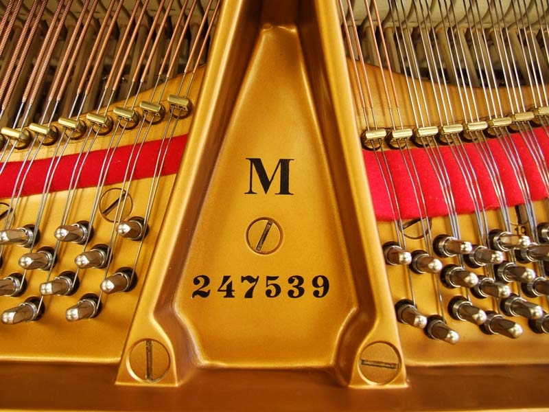 Steinway M