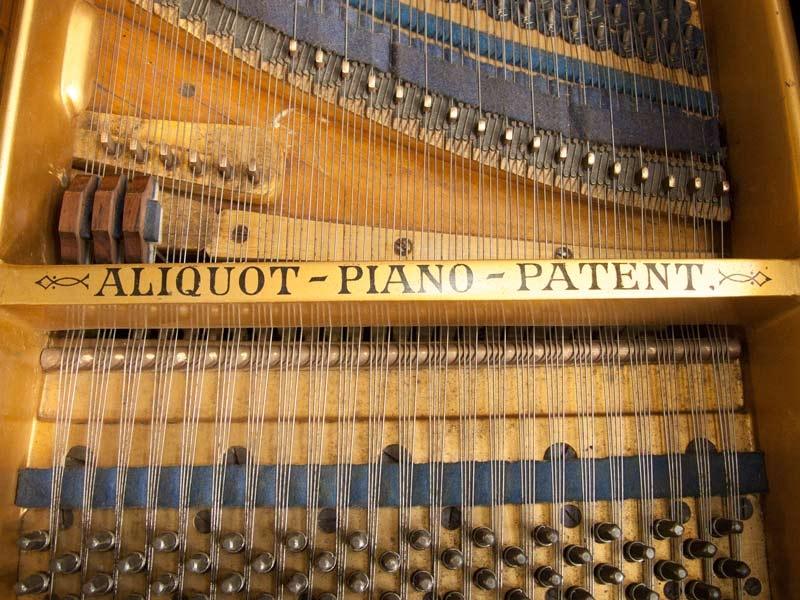 Bluthner Style VI Aliquot grand Piano in rosewood – Gallery image – Roberts Pianos Oxford