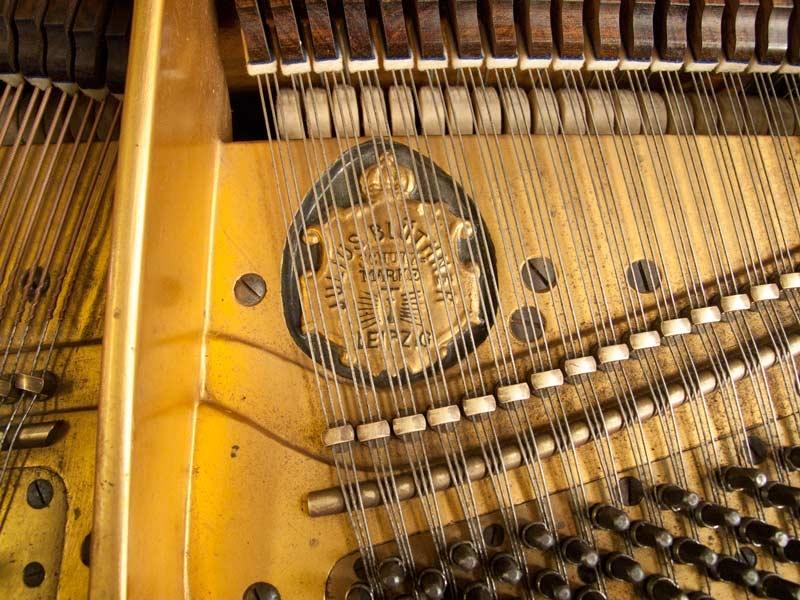 Bluthner Style VI Aliquot grand Piano in rosewood – Gallery image – Roberts Pianos Oxford
