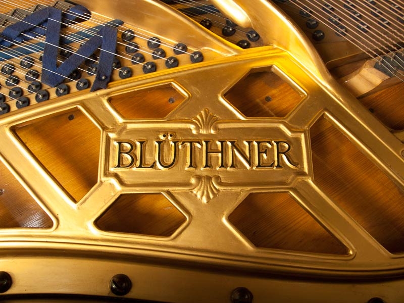 Bluthner Style VI Aliquot
