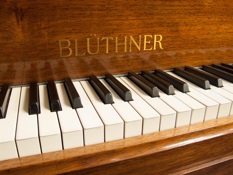 Bluthner Style VI Aliquot