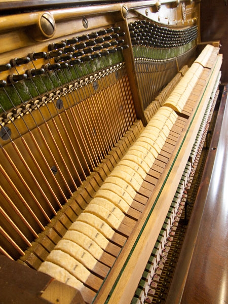 Bechstein 10