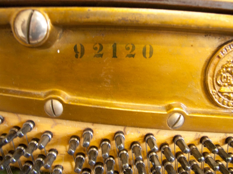 Bechstein 10
