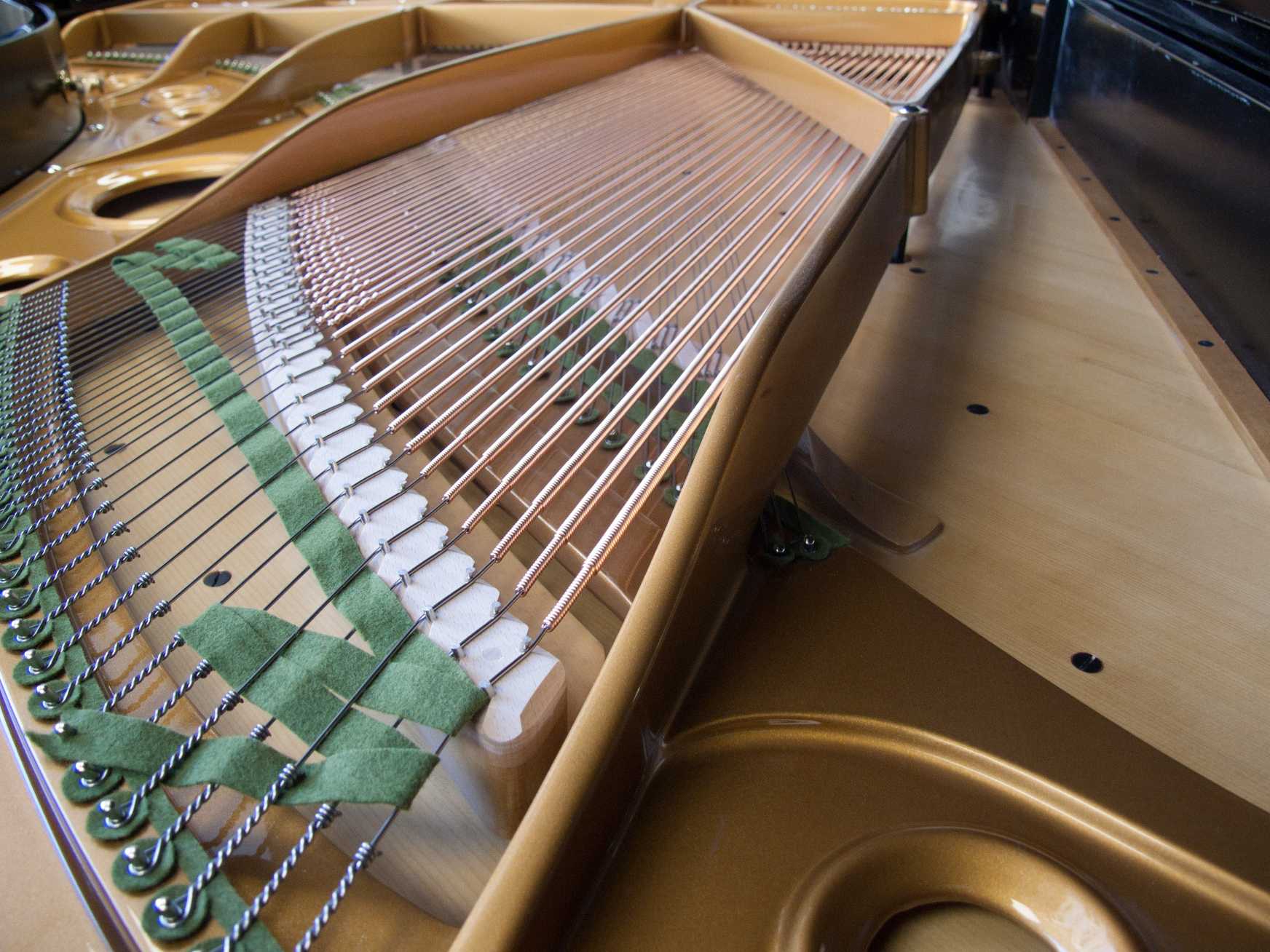 Bechstein B