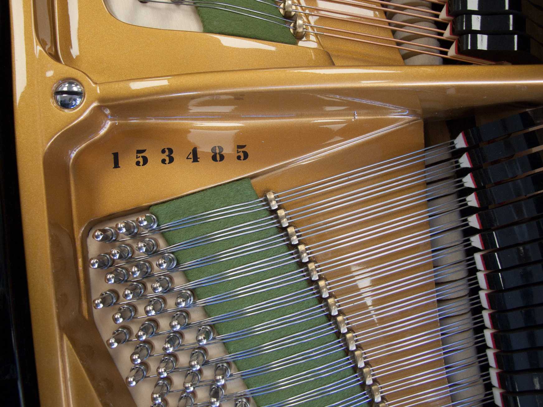 Bechstein B