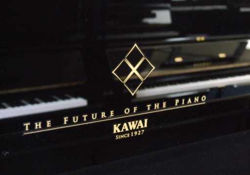 Kawai K-200