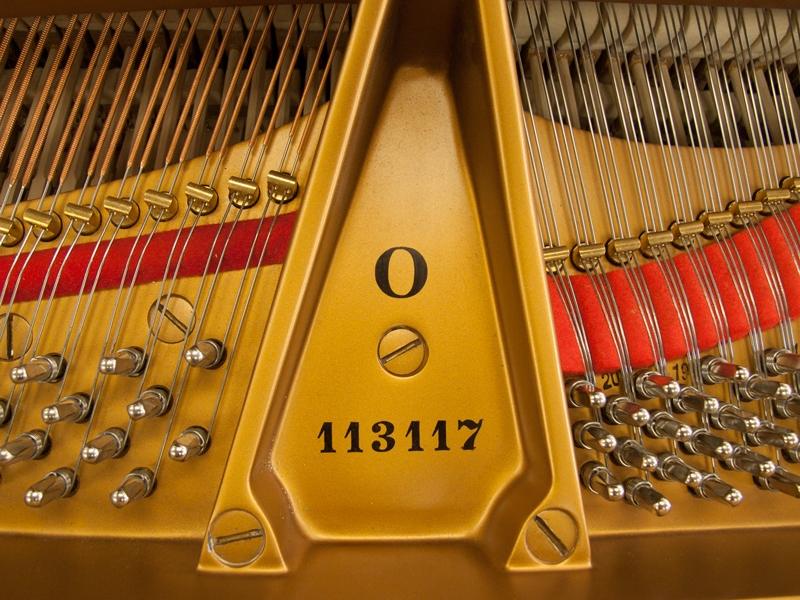 Steinway O grand Piano in bright black – Gallery image – Roberts Pianos Oxford