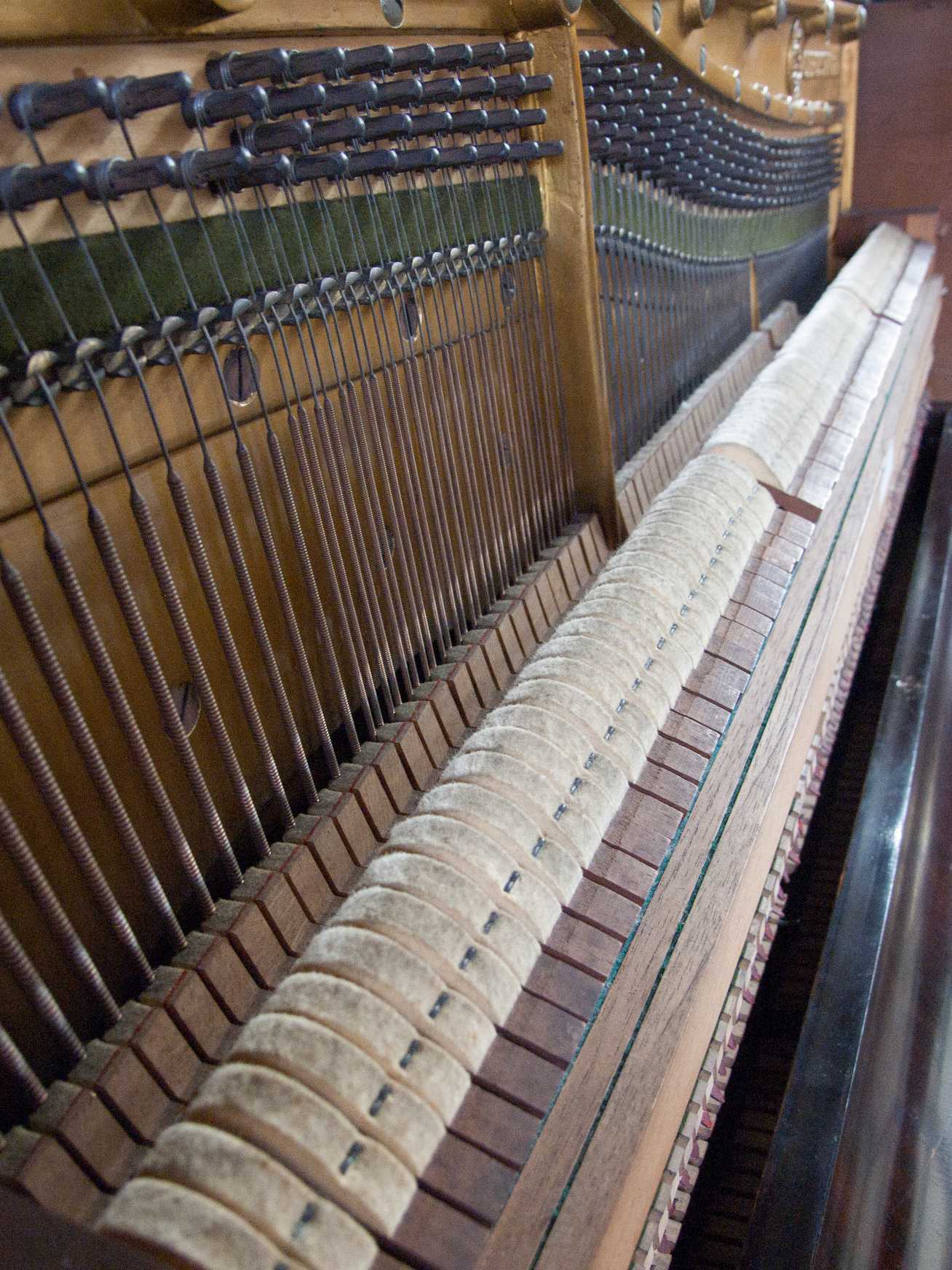 Bechstein 10
