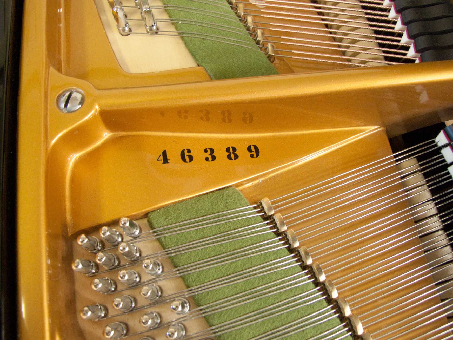 Bechstein V (B style)