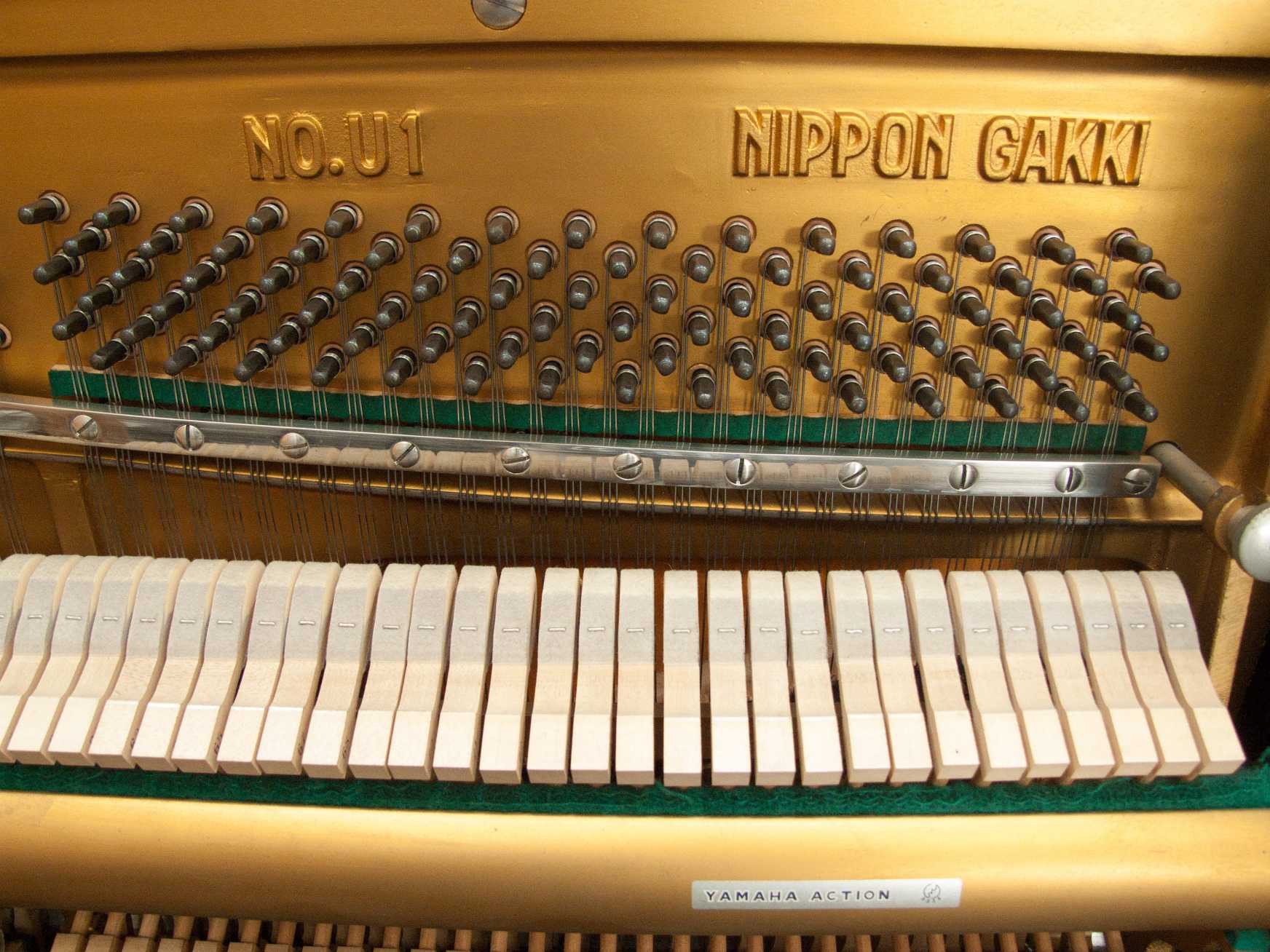 Yamaha U1D