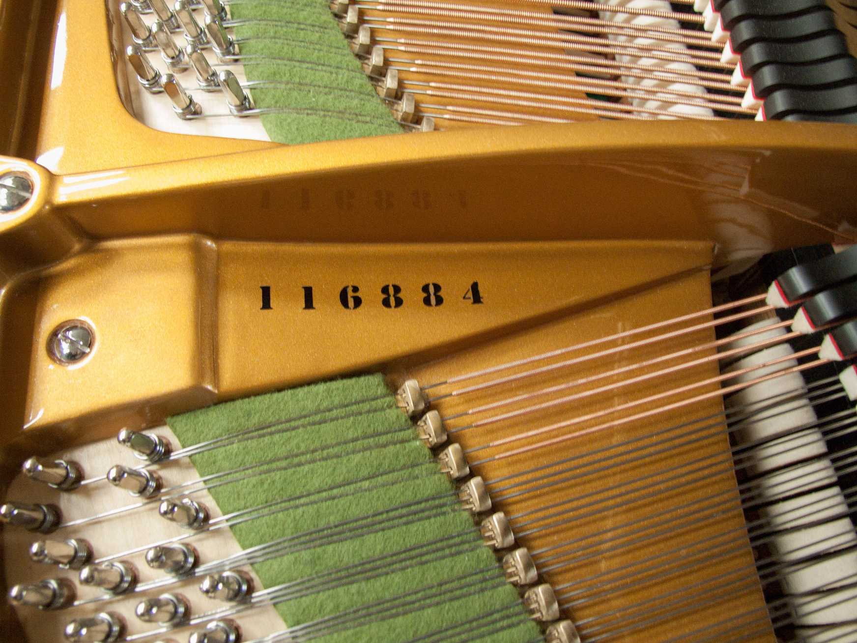 Bechstein C