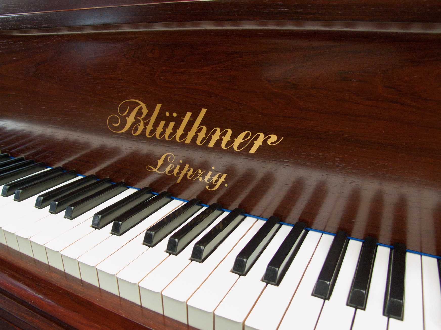 Bluthner VIII  (8)