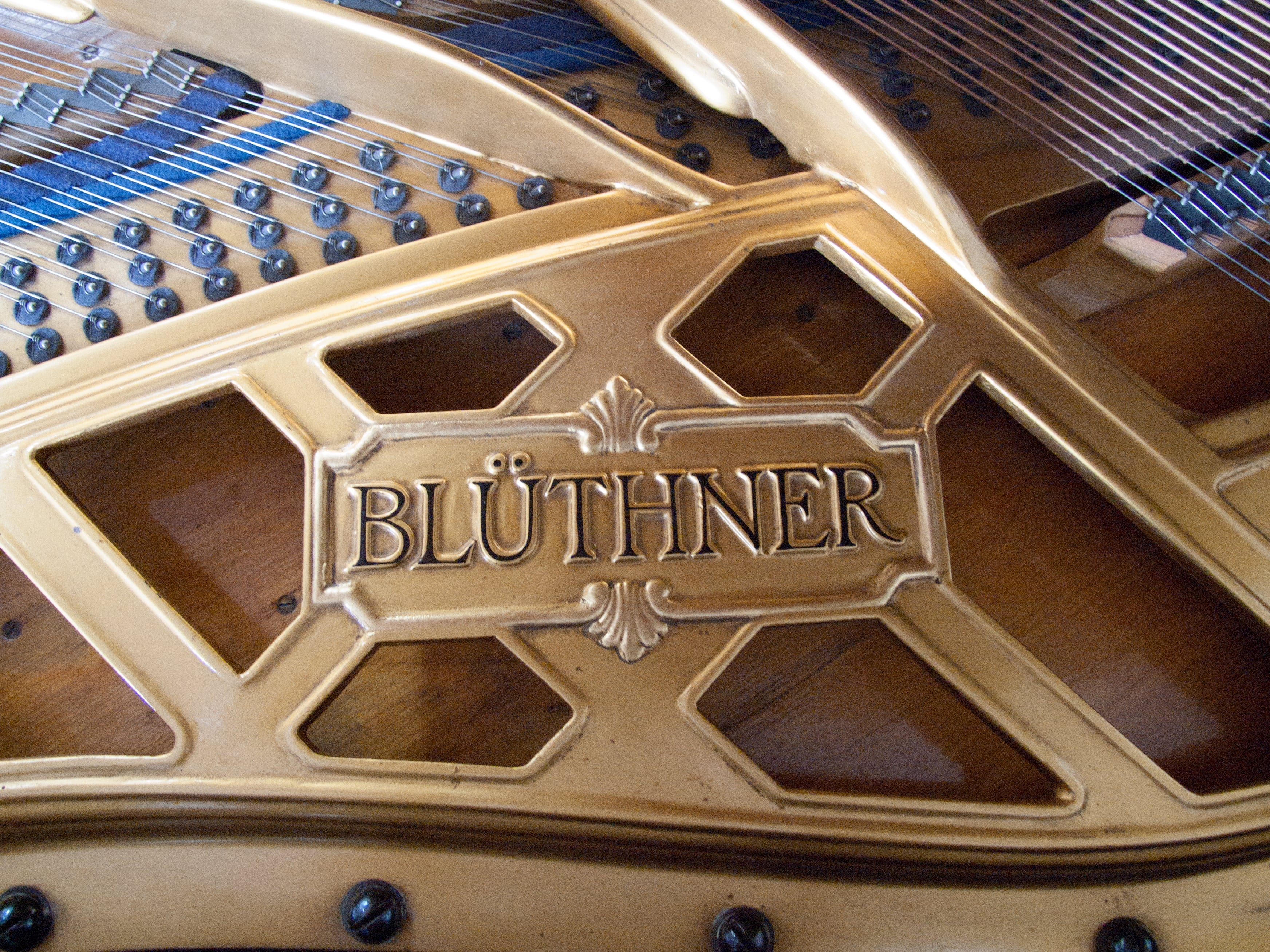 Bluthner V