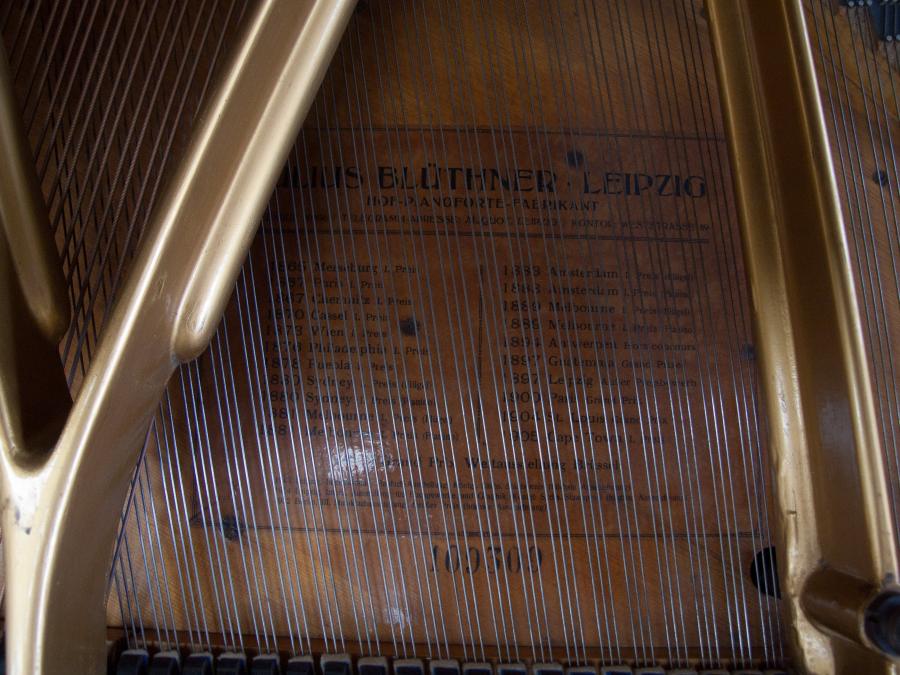 Bluthner V grand Piano in rosewood – Gallery image – Roberts Pianos Oxford