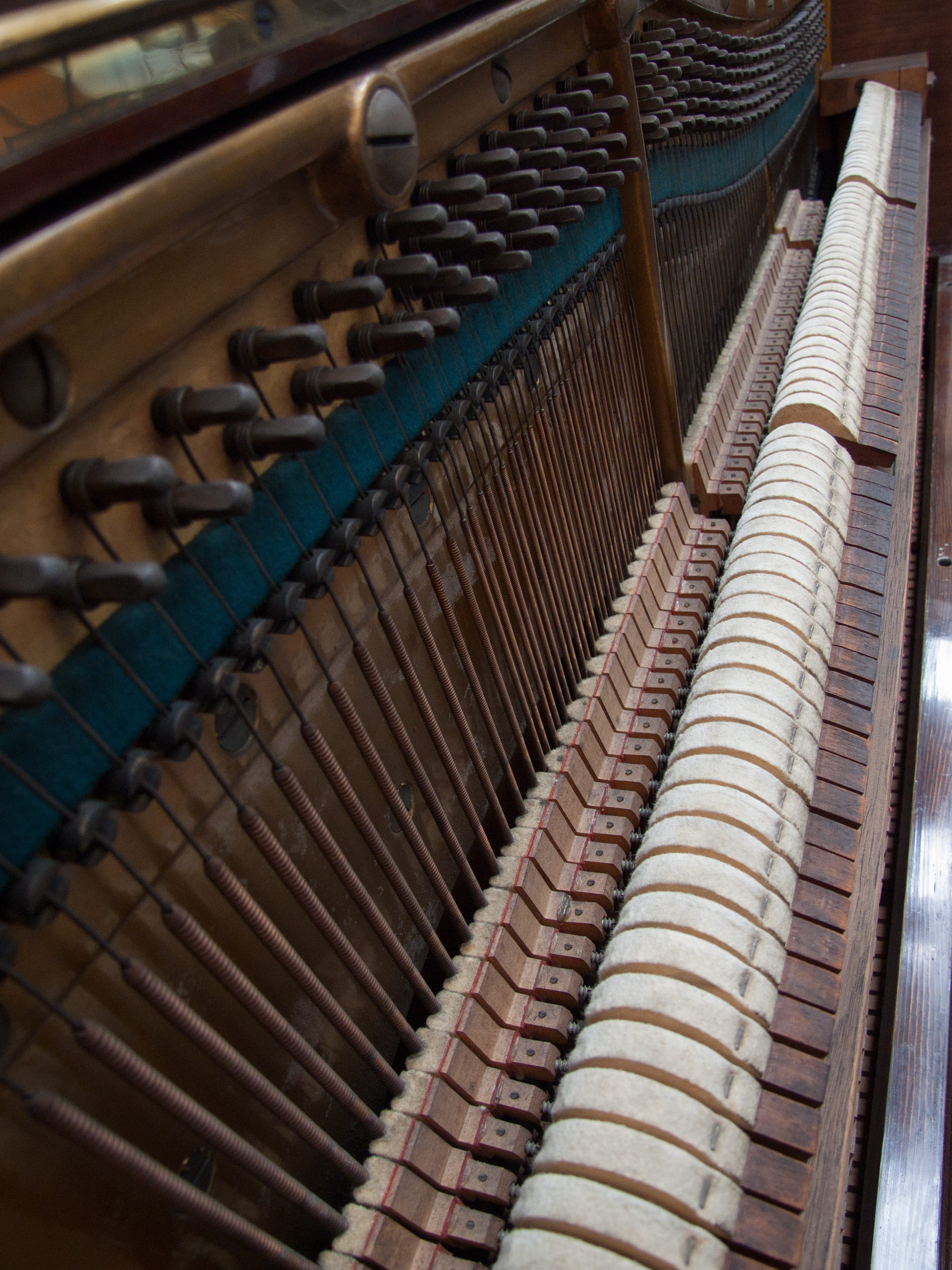 Bechstein 10